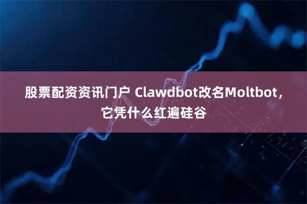股票配资资讯门户 Clawdbot改名Moltbot，它凭什么红遍硅谷