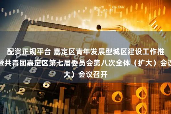 配资正规平台 嘉定区青年发展型城区建设工作推进会暨共青团嘉定区第七届委员会第八次全体（扩大）会议召开